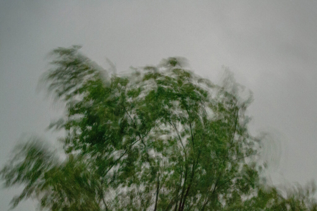 Burza