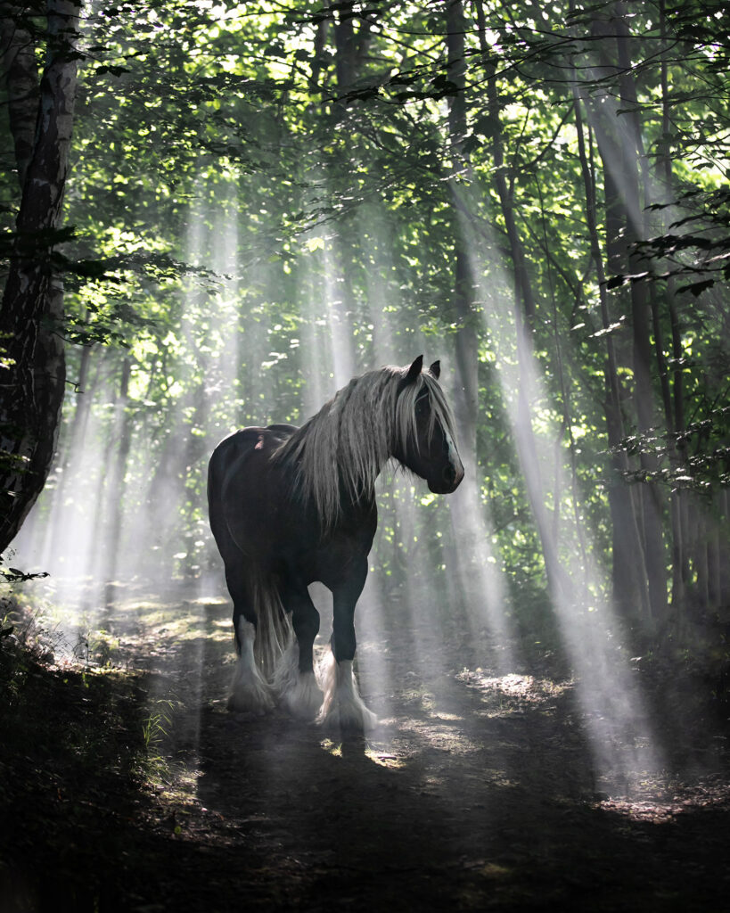 Forest spirit