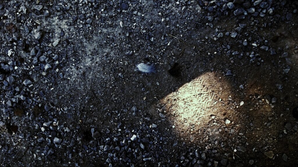 The Universe Underfoot